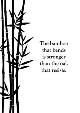 Japanese Proverb