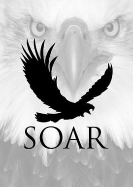 Eagle Soar