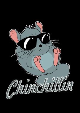 Chinchilla Chillin Rodent