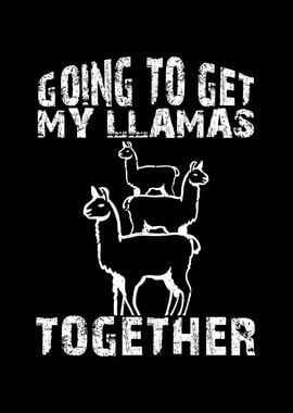 Going to get my llamas