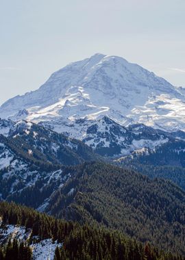 Snowy Mountain at Forest 