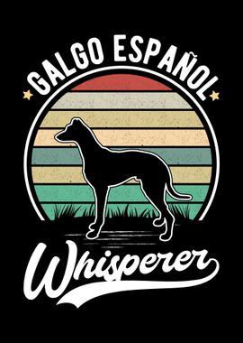 Galgo Espaol Whisperer