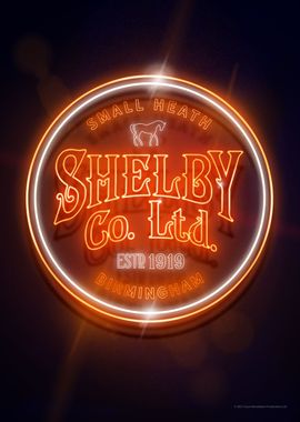 Shelby Co Ltd Neon