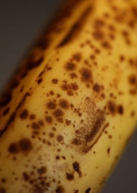 Banana fruit skin close up