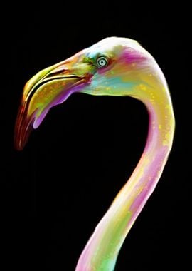 Flamingo