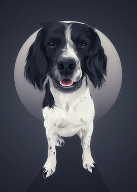 English Springer Spaniel