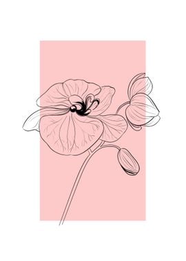 Orchid Flower Line Art