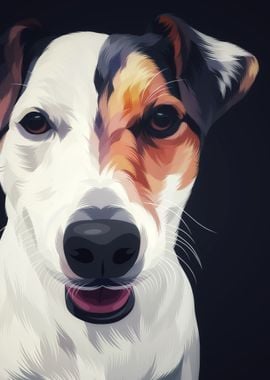 Jack Russell Terrier 3