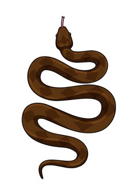 Brown snake