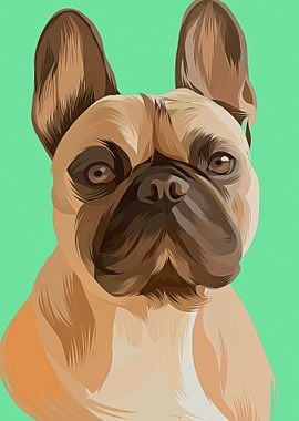 Pet Colorful Art