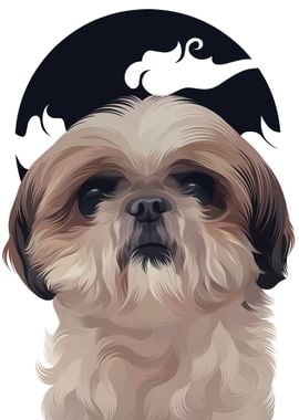 ShihTzu