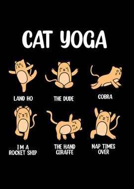 Cat Yoga