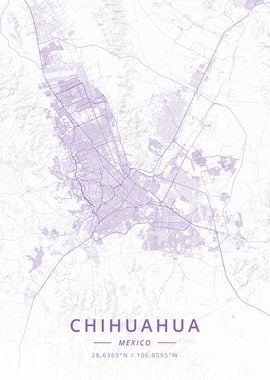 Chihuahua Mexico