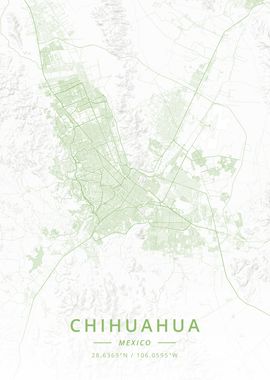 Chihuahua Mexico