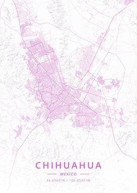 Chihuahua Mexico