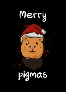 Merry pigmas guinea pig