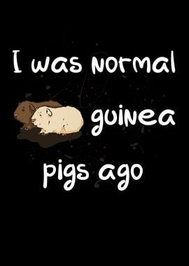 I was normal 2 guinea pigs