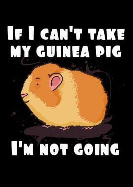 If I cant take my guinea