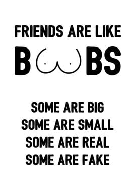 Friends Are Like Boobs