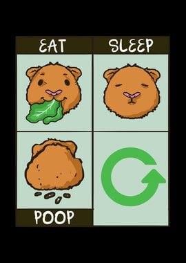 Eat sleep poop repeat