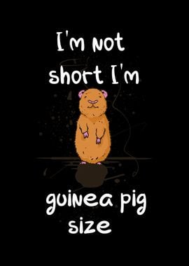 Im not short Im guinea