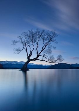 Wanaka Twilight