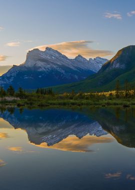 Quiet Summer Morning 2