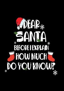 Dear Santa Funny Xmas