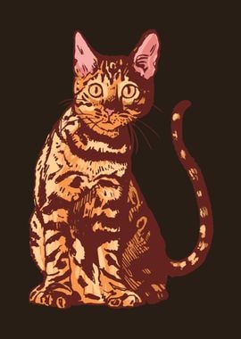 Bengal cat