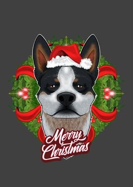 Australian Cattle Dog Xmas