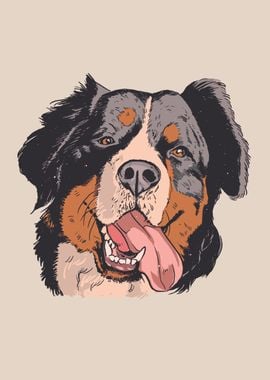 Bernese mountain dog