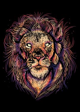 Lion Animal