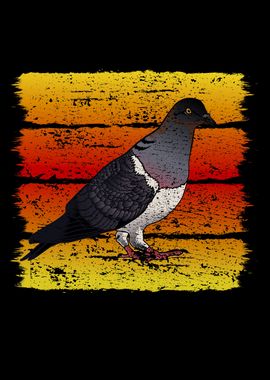 Pigeon Retro Vintage