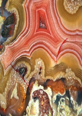 Agate Slice Texture 19