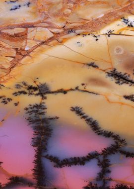 Agate Slice Texture 18