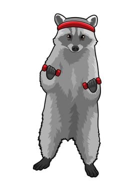 Racoon Fitness Dumbbells