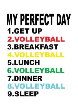 My Perfect Day Volleyball