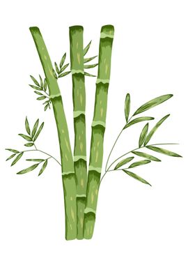 Bamboo Botanical Art