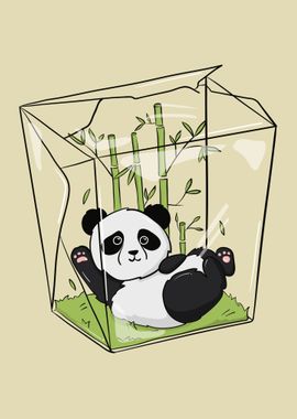 Funny Panda Bear in Box