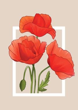 Poppy flowers watercolor