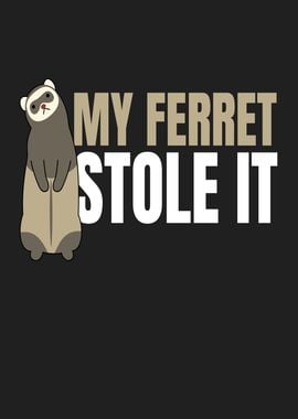 My Ferret Stole It