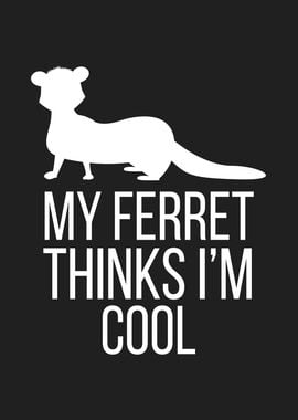 My Ferret Thinks Im Cool