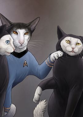 Star Trek Cats 23