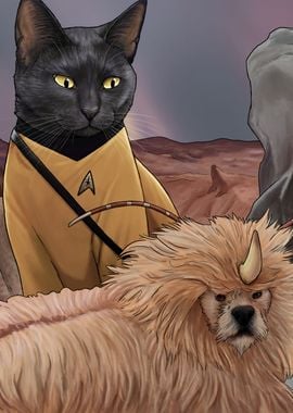 Star Trek Cats 17