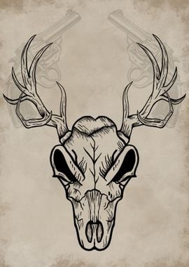 Western Deer Skull