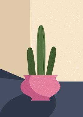 Cacti vase homedecor plant