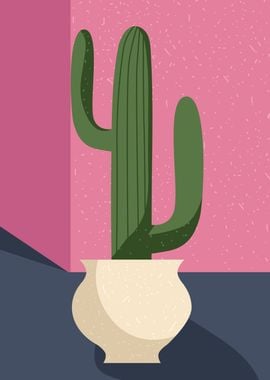 Cactus Succulent Plant