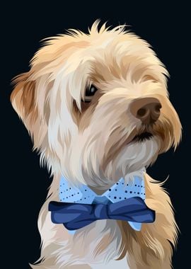 Pet Colorful Art