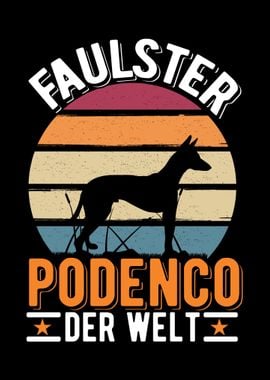 Faulster Podenco der Welt