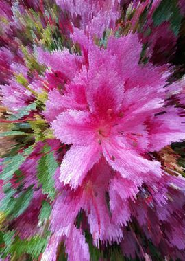 Exotic pink azalea pixels